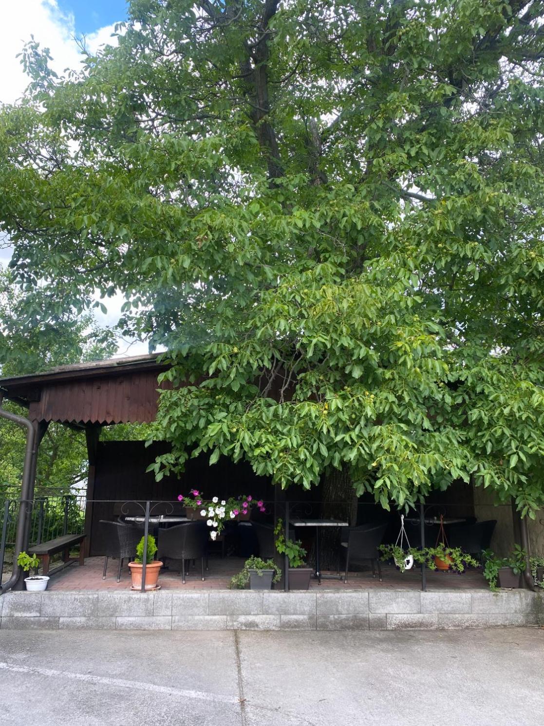 波切尼斯膳宿旅馆 外观 照片
